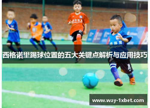 西格诺里踢球位置的五大关键点解析与应用技巧 西格诺里踢球位置的五大关键点解析与应用技巧