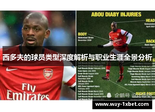 西多夫的球员类型深度解析与职业生涯全景分析 西多夫的球员类型深度解析与职业生涯全景分析