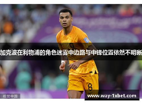 加克波在利物浦的角色迷雾中边路与中锋位置依然不明晰