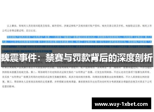 魏震事件:禁赛与罚款背后的深度剖析 魏震事件:禁赛与罚款背后的深度剖析